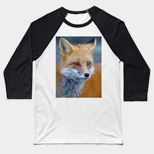 Red Fox - Algonquin Park, Canada Baseball T-Shirt